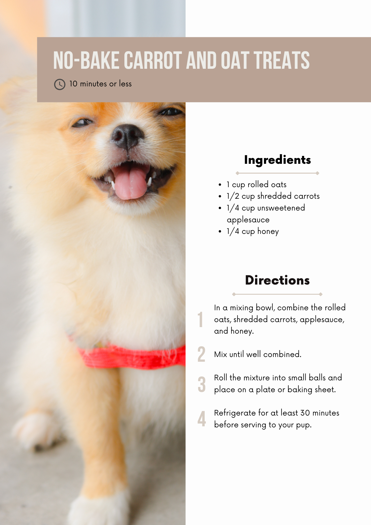 Healthy Dog Treat Recipe Book
