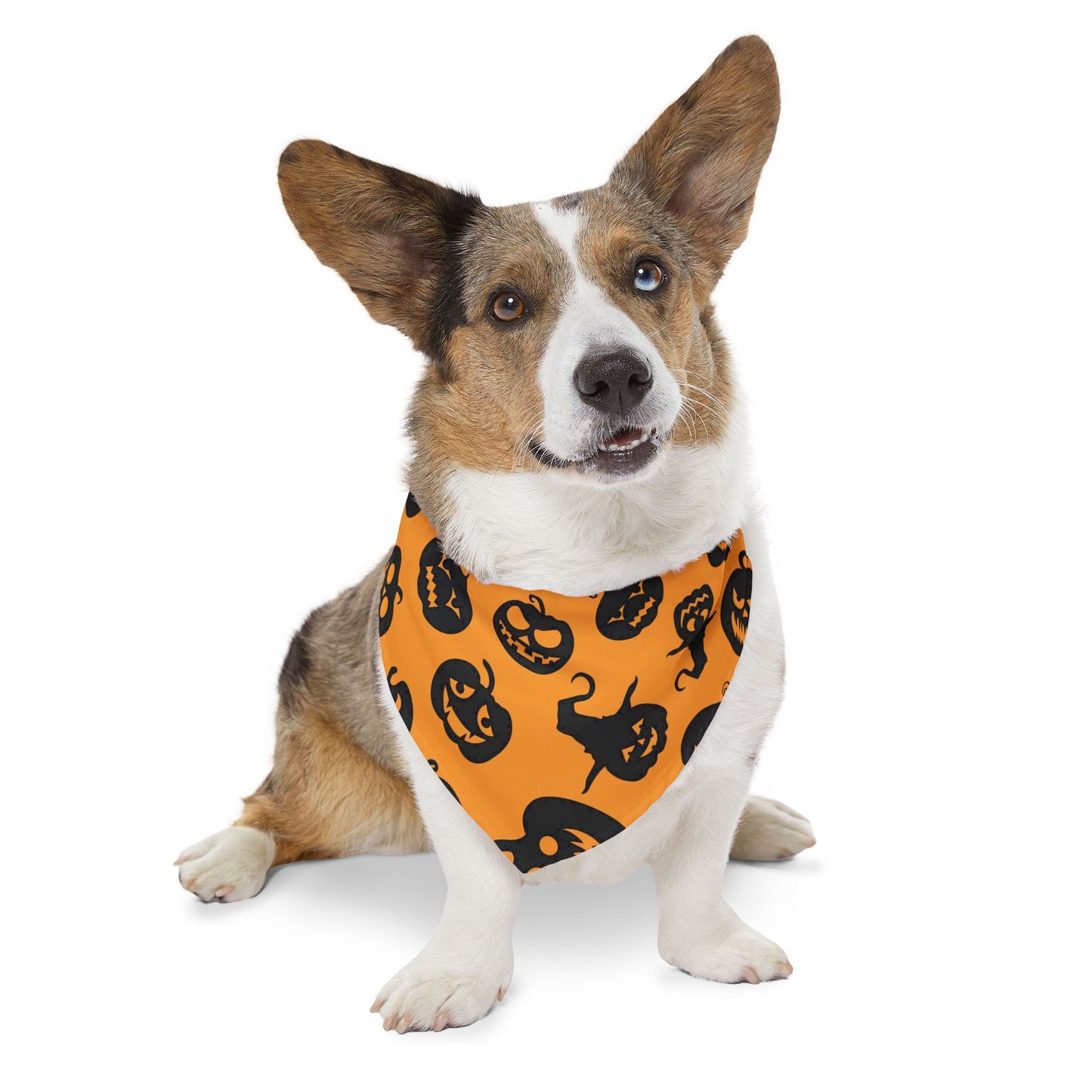 Halloween printed - Pet Bandana
