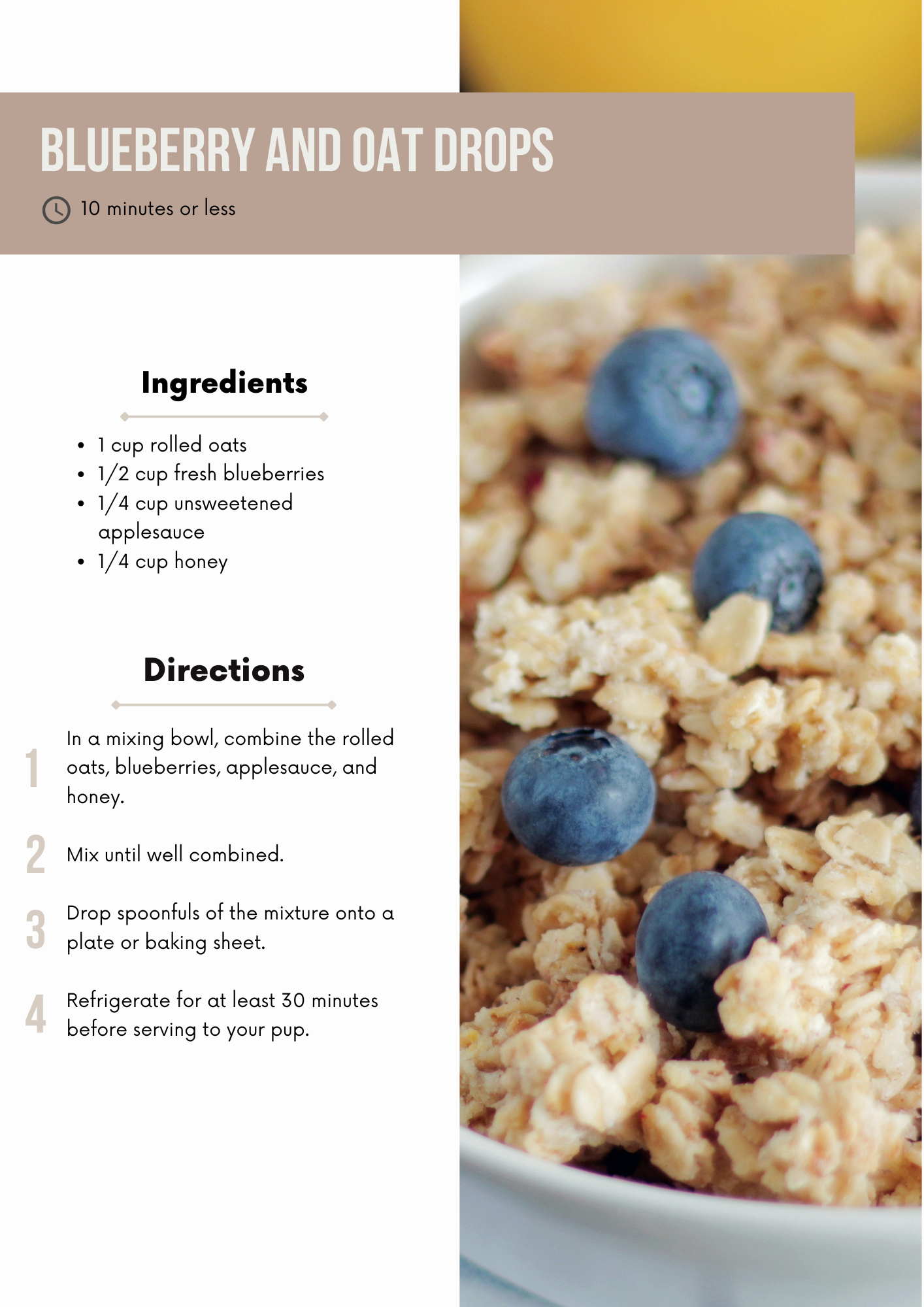 Healthy Dog Treat Recipe Book