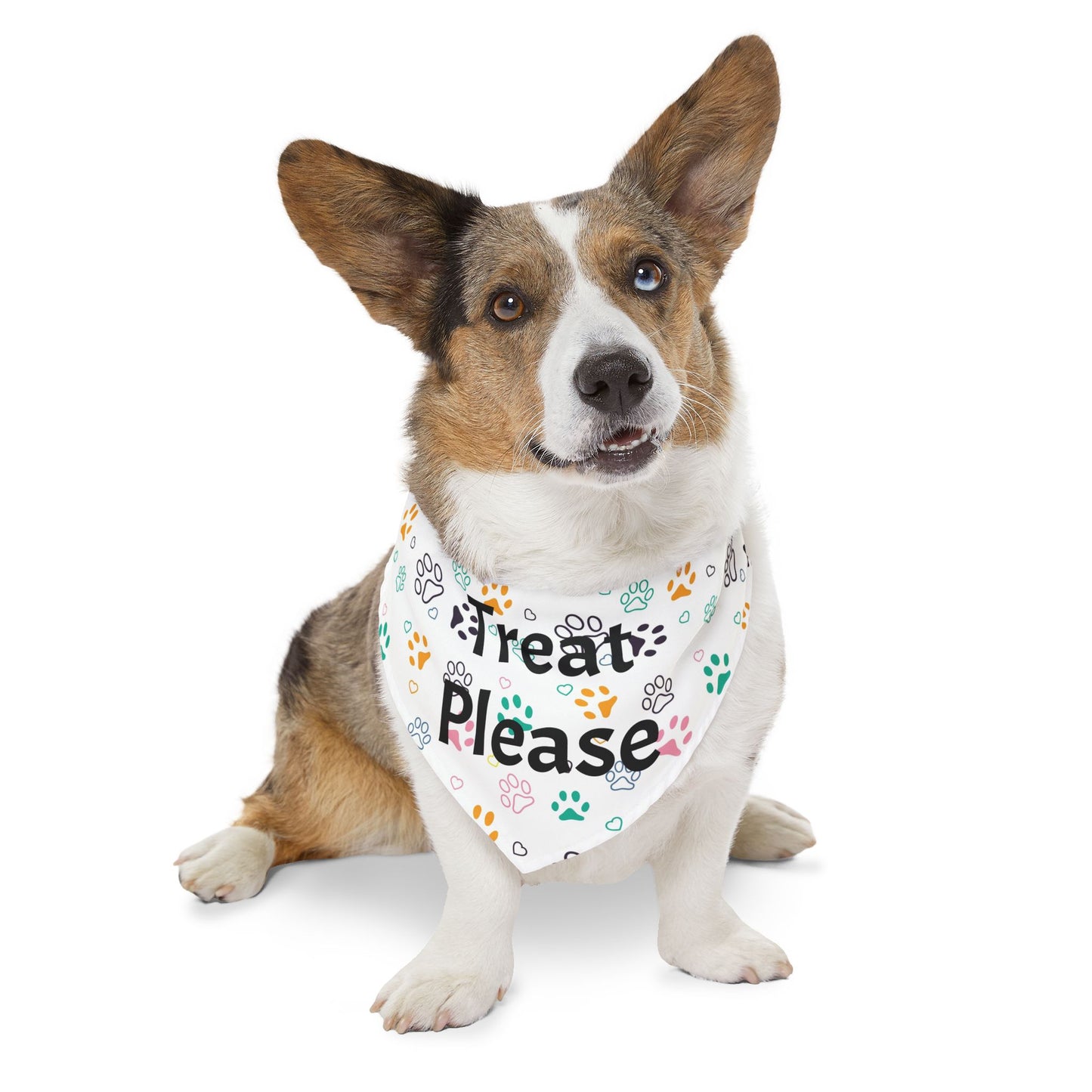 Treat Please - Pet Bandana
