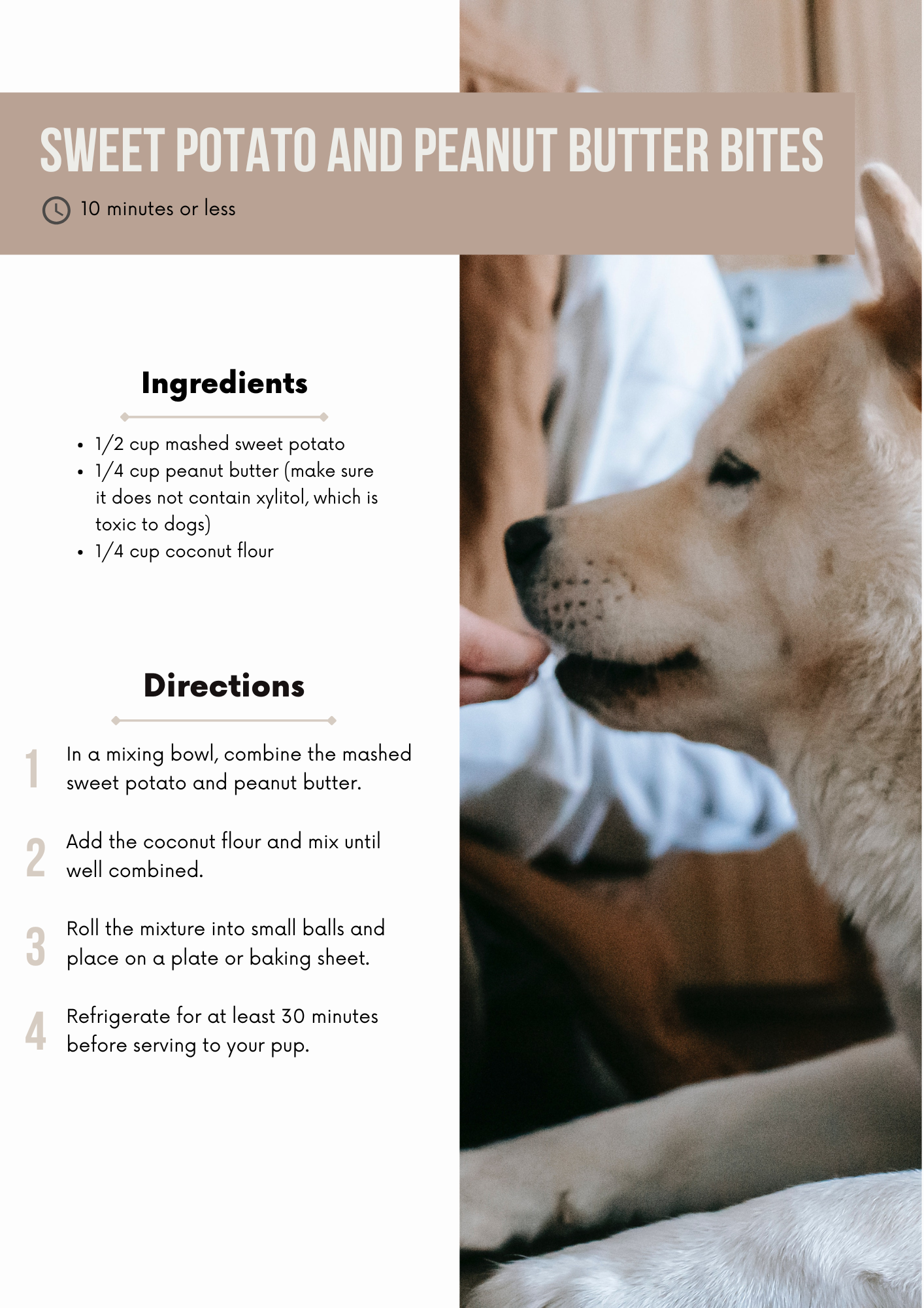 Healthy Dog Treat Recipe Book