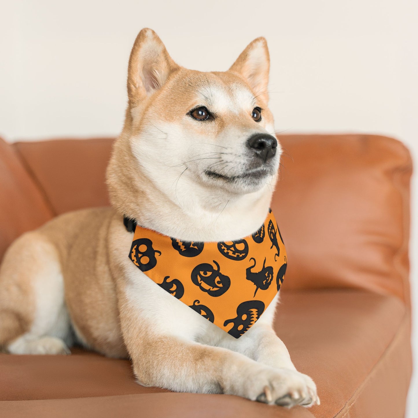 Halloween printed - Pet Bandana
