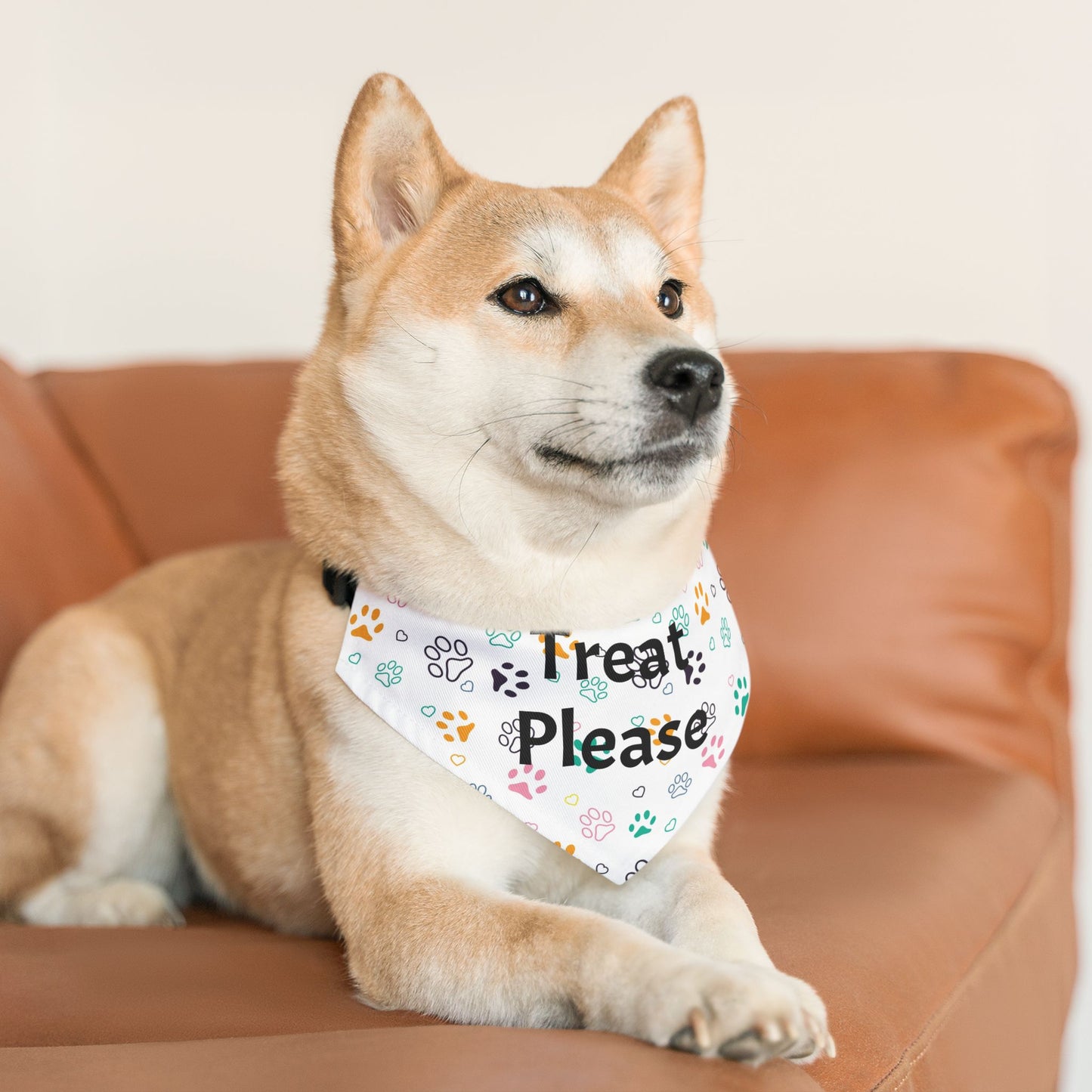 Treat Please - Pet Bandana