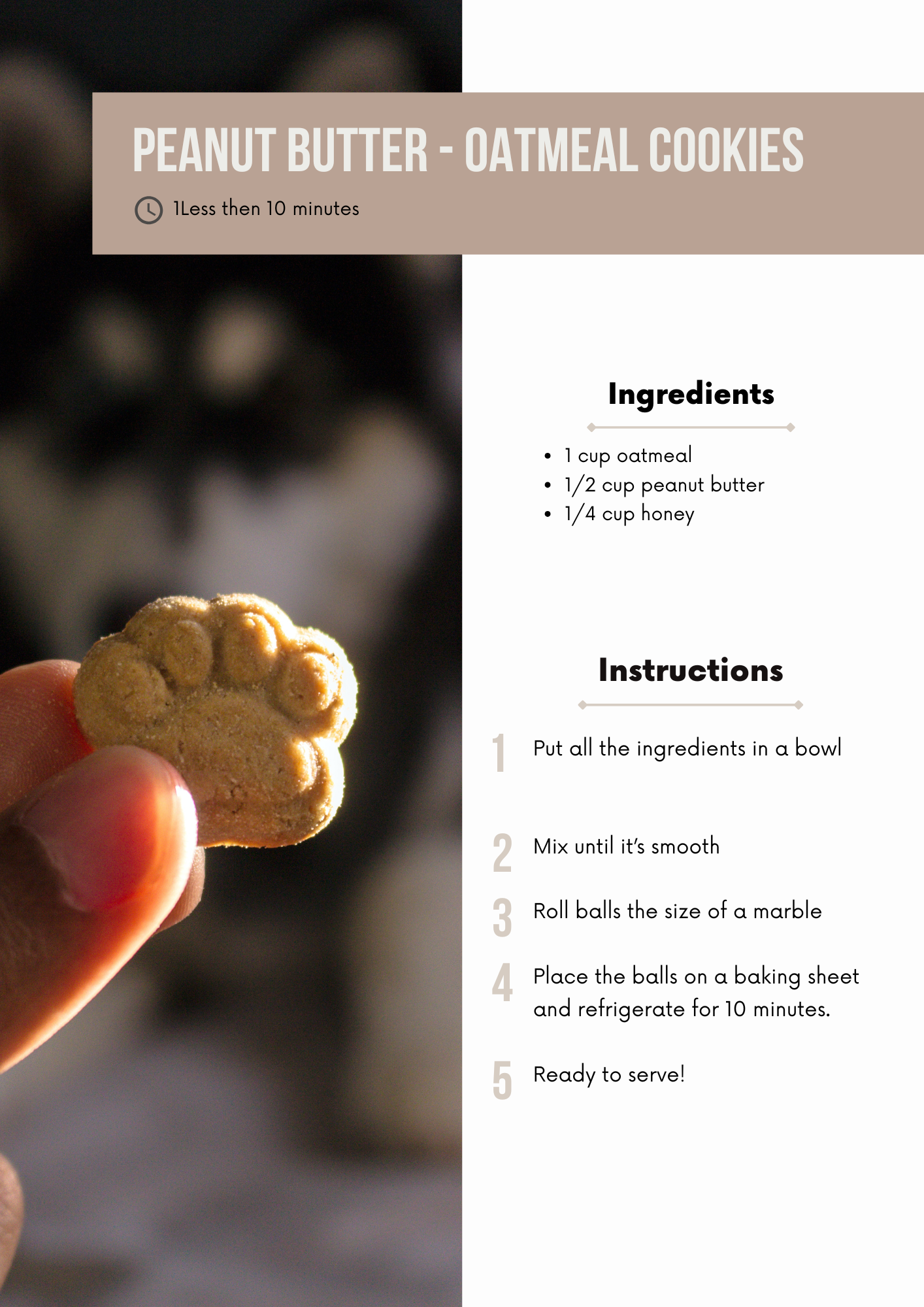 Healthy Dog Treat Recipe Book