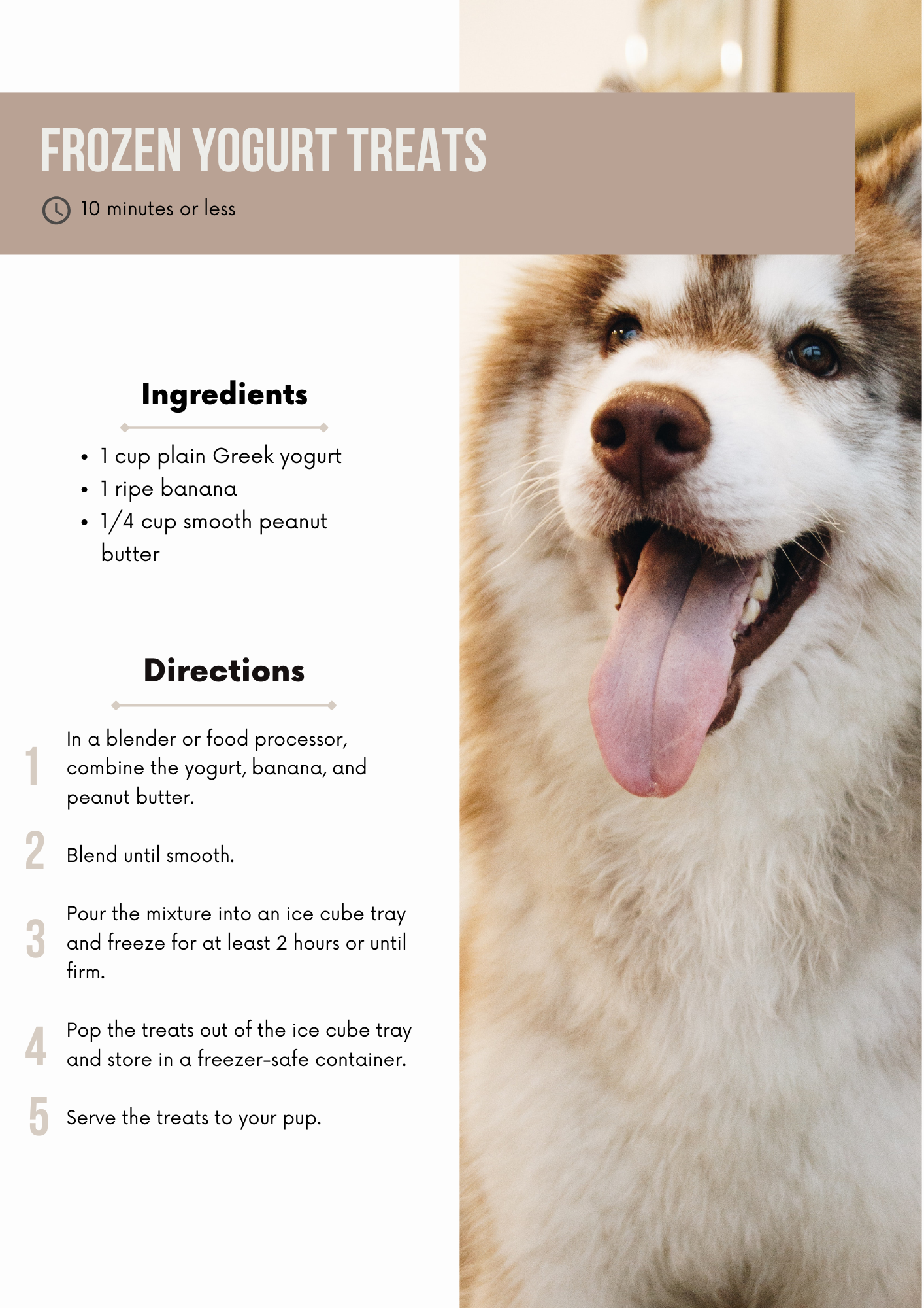 Healthy Dog Treat Recipe Book