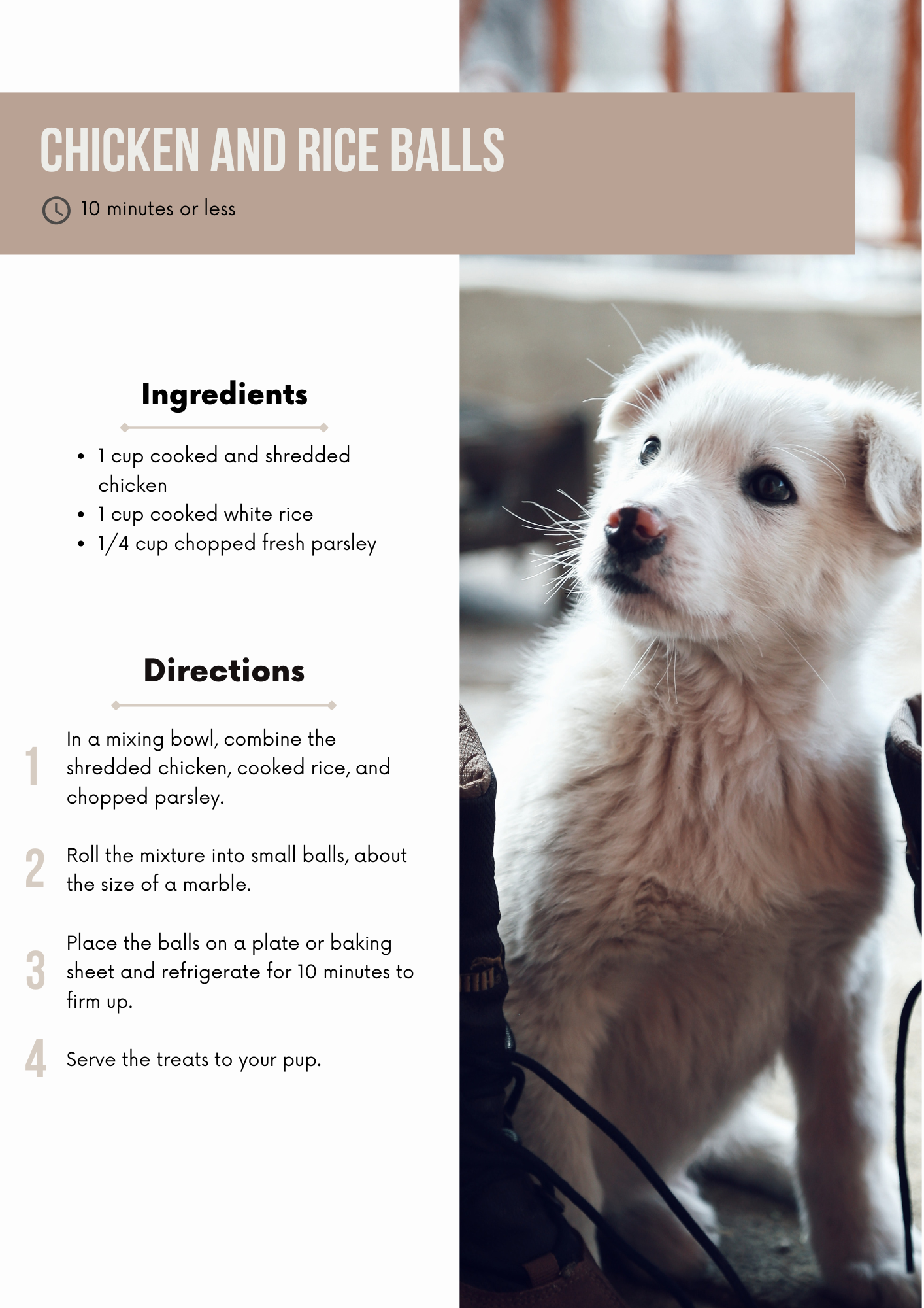 Healthy Dog Treat Recipe Book
