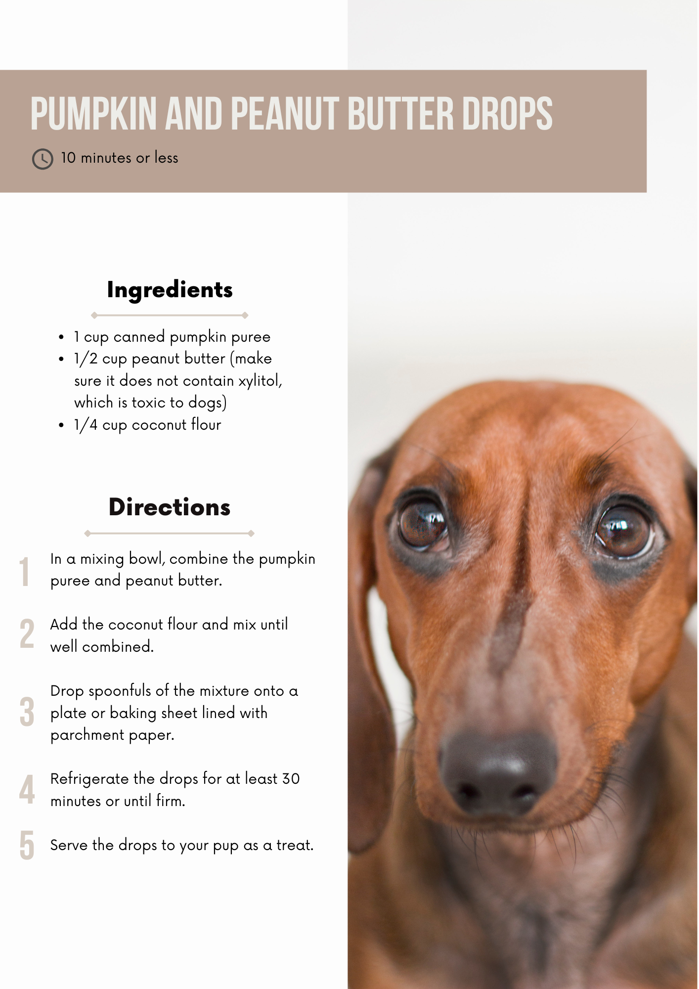 Healthy Dog Treat Recipe Book
