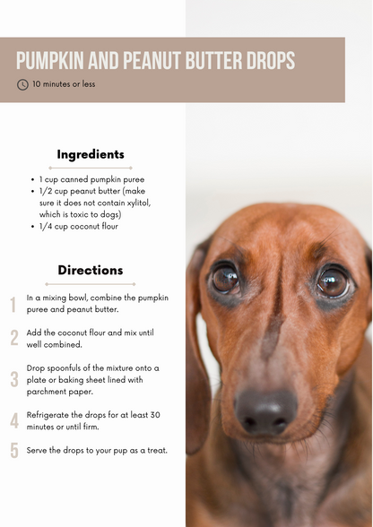 Healthy Dog Treat Recipe Book