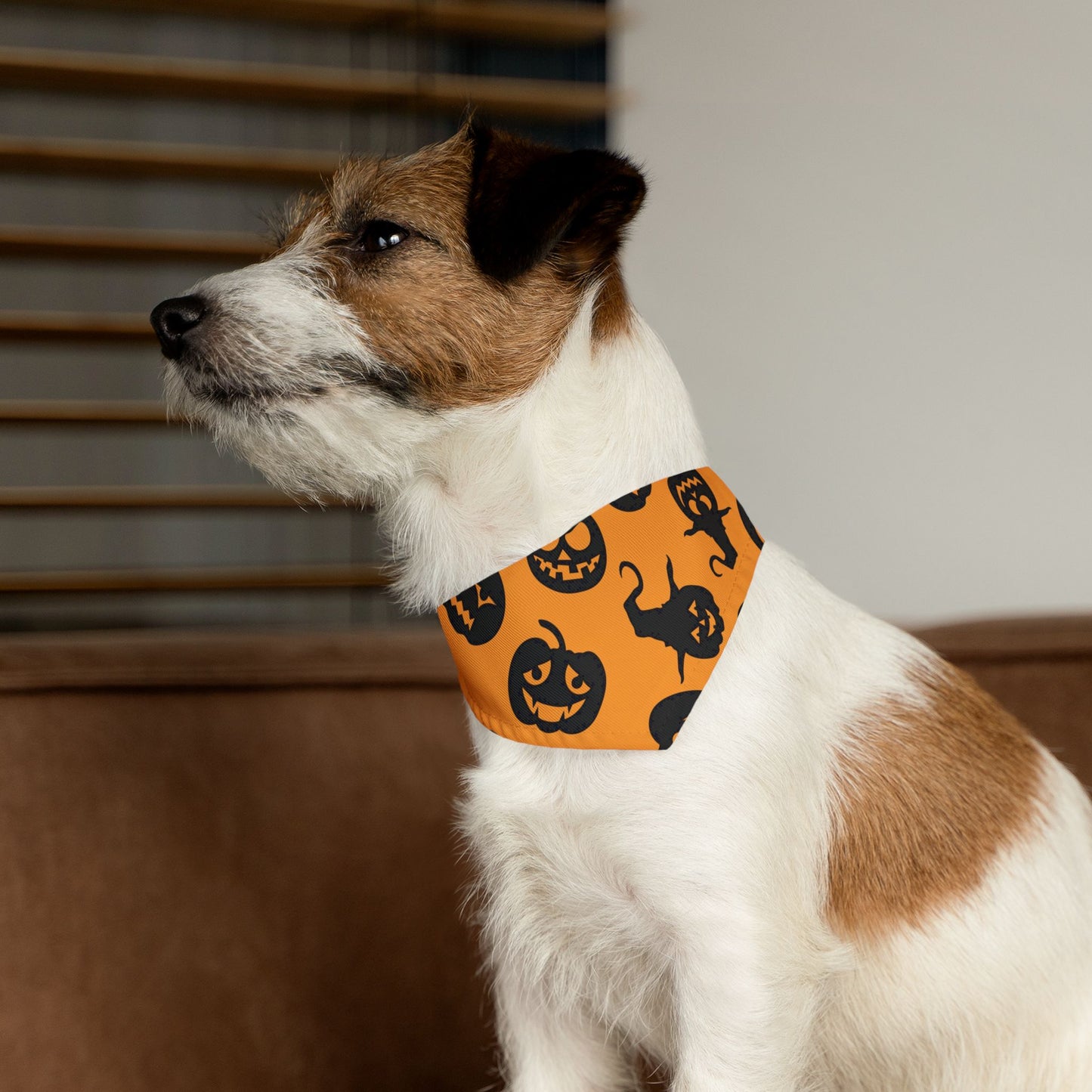 Halloween printed - Pet Bandana