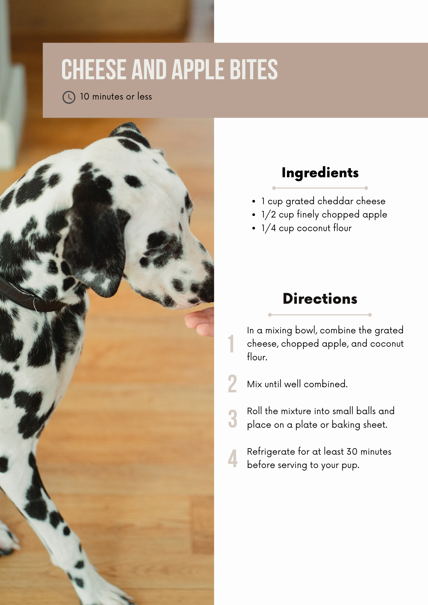 Healthy Dog Treat Recipe Book