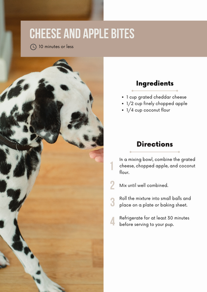 Healthy Dog Treat Recipe Book